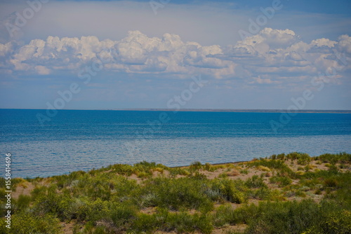 Wallpaper Mural The shore of Lake Balkhash. Summer beach vacation. Torontodigital.ca