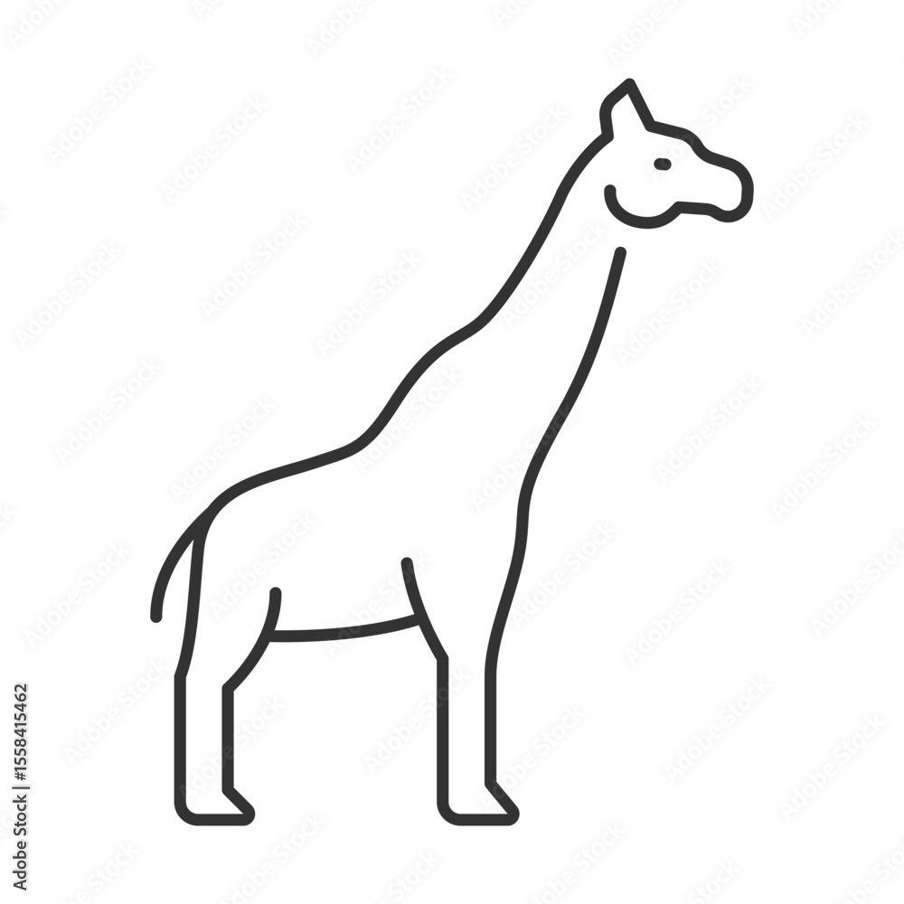 Obraz premium Giraffe linear icon. Long neck tall animal. African fauna. Wildlife. Savannah animal. Herbivore wild animal. Thin line illustration. Contour symbol. Vector outline drawing. Editable stroke