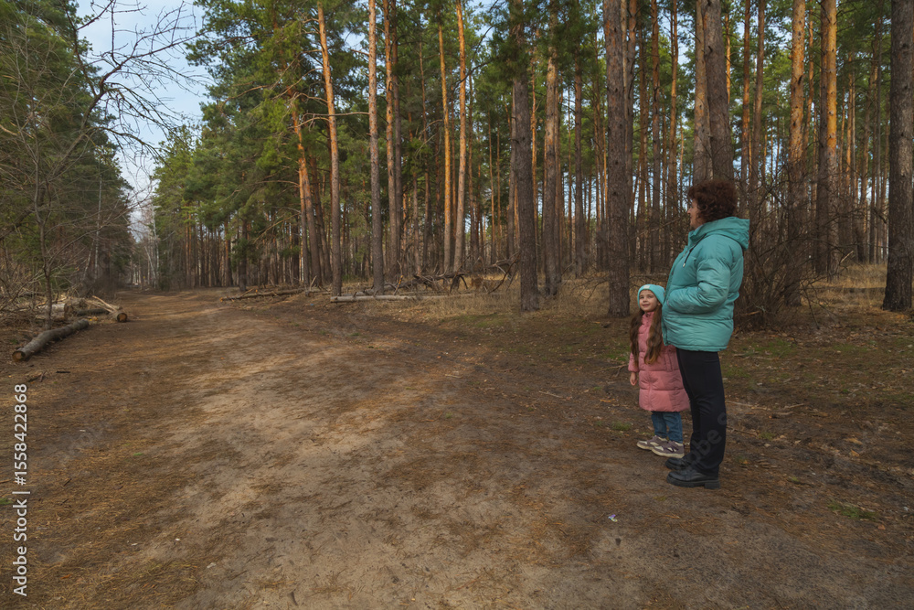 Fototapeta premium Grandmother and granddaughter walking in the forest