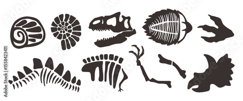 Fossil silhouette collection in bold illustrations. Simple hand drawn in rough style.