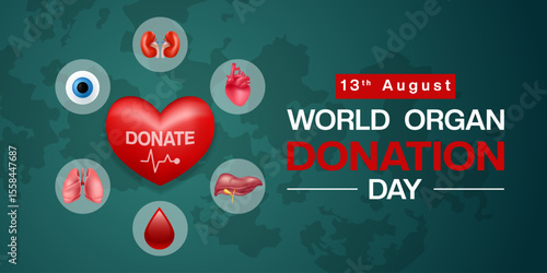 13 th August is World Organ Donation Day. Heart, lung, kidney and more. Great for posters, banners and social media. Dark green background.