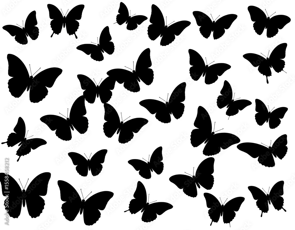 Fototapeta premium A graceful collection of various butterfly silhouettes fluttering with delicate beauty