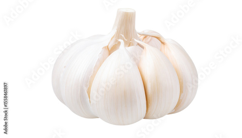 Garlick isolated on transparent background.