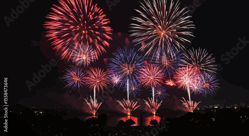 Spectacular fireworks display illuminates the night sky with vibrant colors and patterns