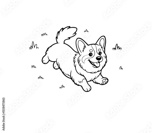 corgi dog running cartoon style