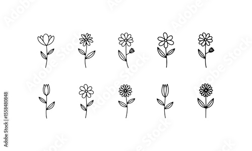 Elegant Bloom Forms. A compact set of minimal floral illustrations with graceful symmetry and fine curves, suitable for high-end branding and textile design.