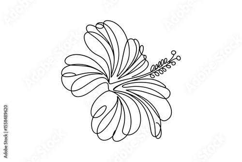 Elegant hibiscus line art tropical flower design vector illustration