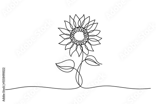 Minimalist continuous line sunflower art elegant botanical vector illustration