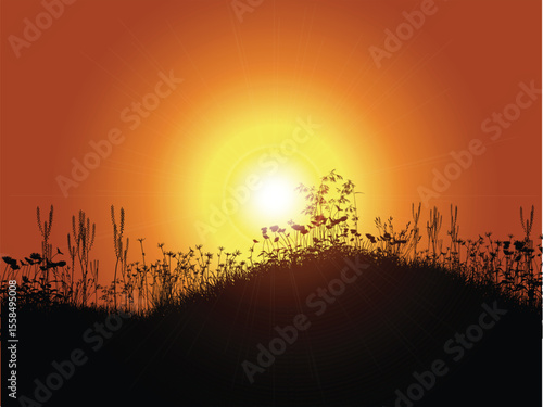 sunset background 2006