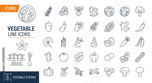 Vegetable Line Icons Collection of Outlined Garden Food Elements
