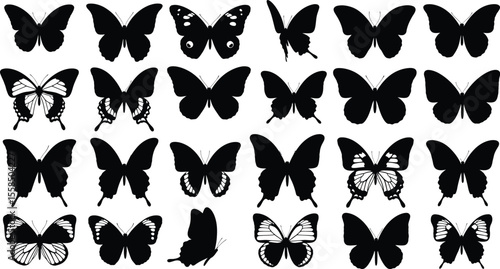 A collection of twenty four butterfly silhouettes arranged in a grid pattern on white
