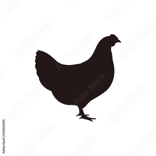 A Striking Silhouette Themed Illustration of a Single Chicken Standing Calmly and Serenely