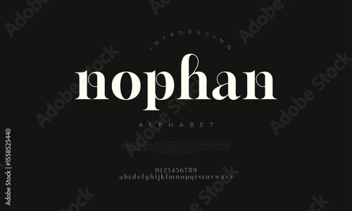 A stylish serif typeface with bold, elegant curves. Great for editorial, logo, and fashion branding