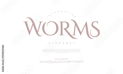 Classy serif font with decorative and organic forms. Great for fashion branding and high-end editorial