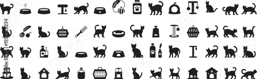 Feline companions and accessories collection animal