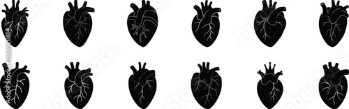 Anatomical heart vector silhouette icon set. heart icon set. human heart icon vector illustration on white, heartbeat, medical, health, cardiology illustration, biology, human heart collection