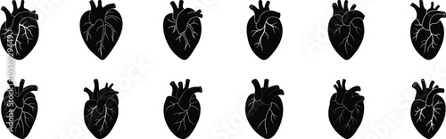 Anatomical heart vector silhouette icon set. heartbeat,  anatomy, medical, health, cardiology, system, biology, vector, organ, body, human heart collection on white background