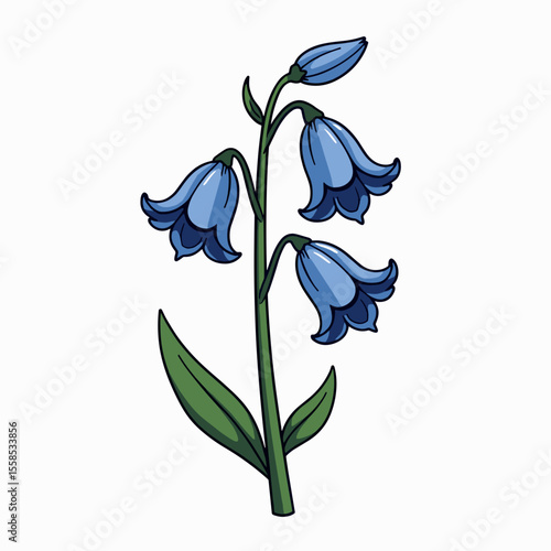 Illustration of a Bluebell Flower with Delicate Blue Petals and Green Stem on White Background