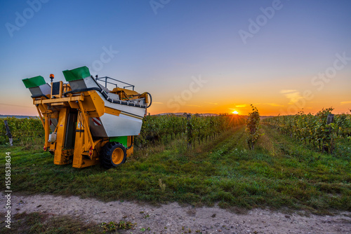 Tableau sur toile Grape harvester standing in vineyard during colorful sunset