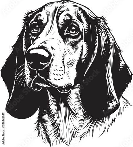 Loyal Basset Hound Portrait: A detailed and expressive black and white portrait of a Basset Hound, capturing its distinctive features and endearing personality.
