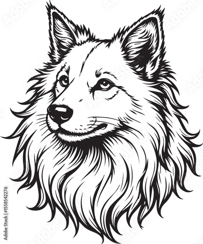 Wolf Portrait: A detailed illustration of a wolf's head, meticulously rendered in monochrome, conveying the majestic and untamed spirit of the wild.