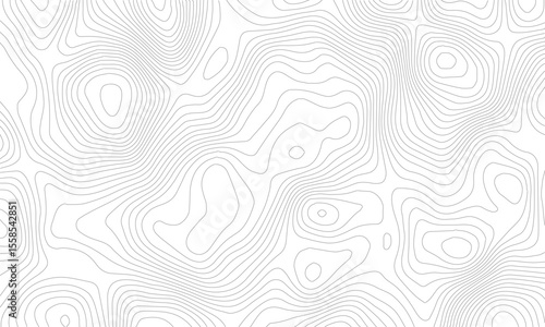 Background of the topographic map. Topographic lines, contour background. topo map texture. Dense lines, Background of the topographic map. Topographic lines texture.