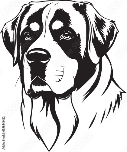Majestic Saint Bernard Portrait: A dignified Saint Bernard's head and face, showcasing its noble demeanor with detailed black and white linework, a classic representation of canine grace and strength.