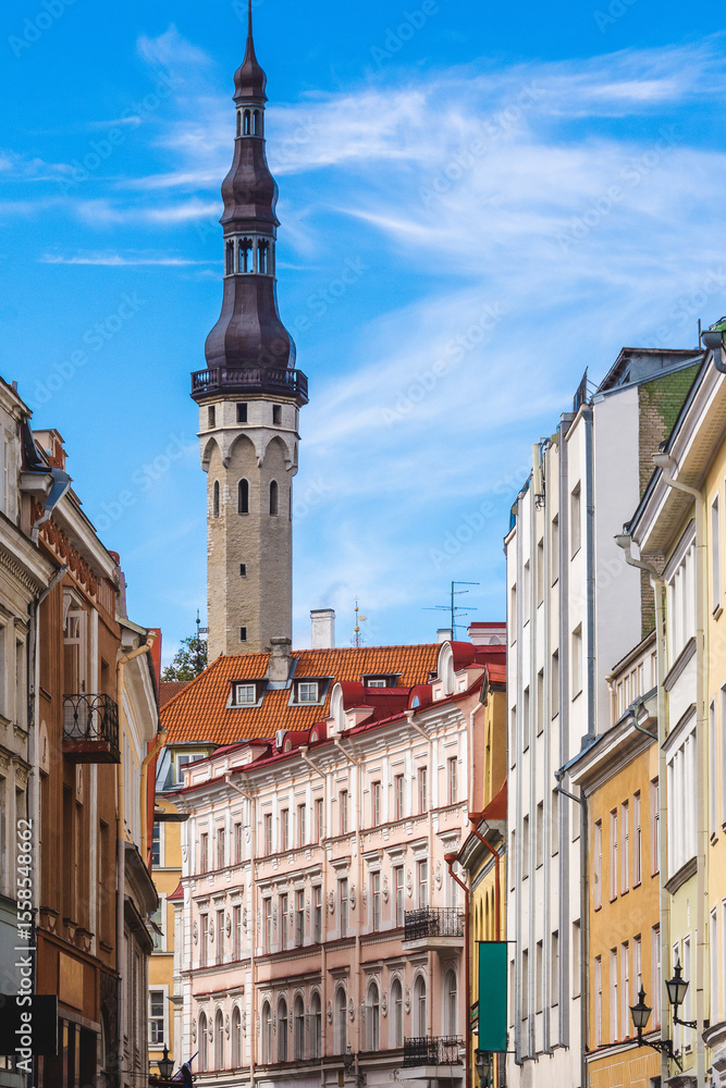 Obraz premium Tallinn’s historic Town Hall spire rises above the colorful pastel buildings of the Old Town, captured under a clear blue sky in Estonia’s capital.