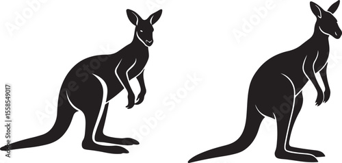 kangaroo vector illustration