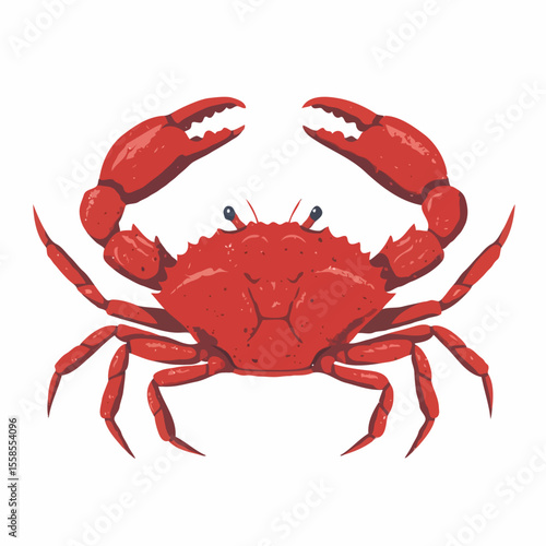 A bright red crab with raised claws and multiple legs isolated on a white background