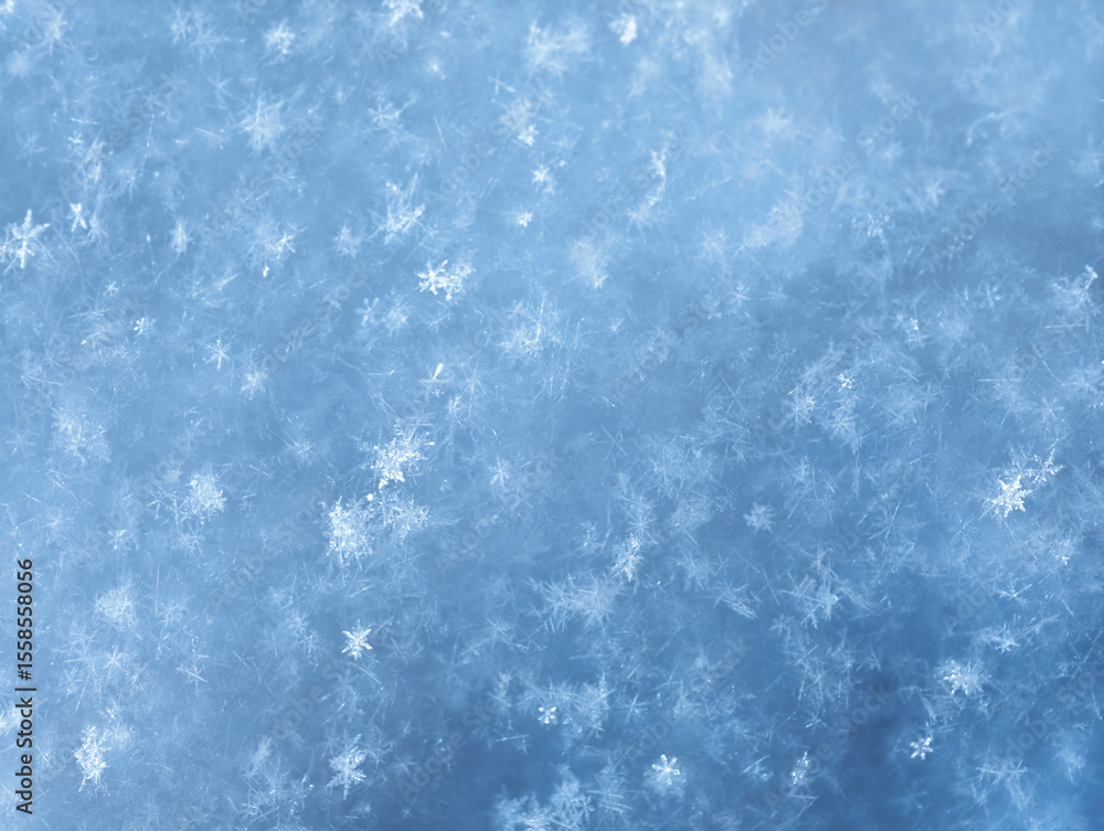 Obraz premium Macro photograpy of snowflakes. Background of winter fluffy snow texture.