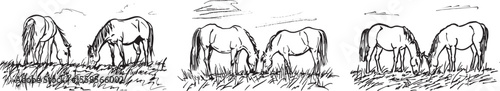 Horses Grazing Vector Illustration. Black and White Line Art.