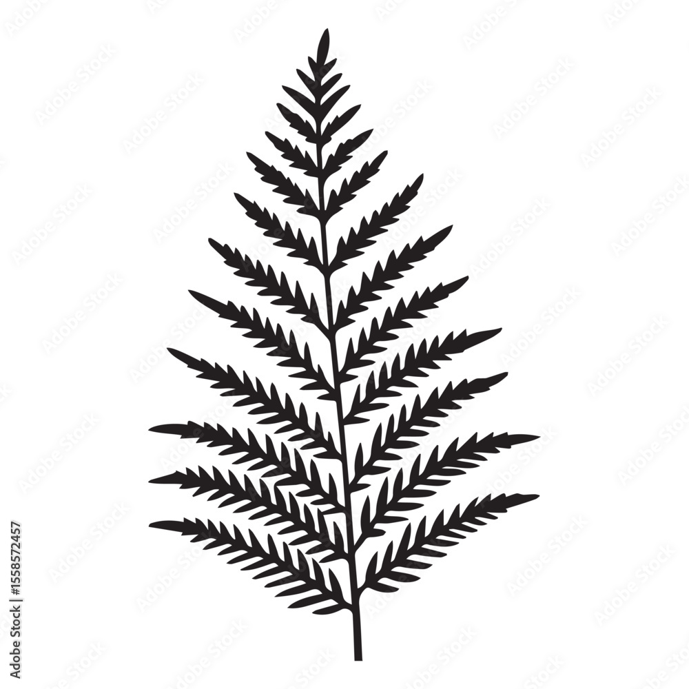 Naklejka premium fern leaf isolated on white