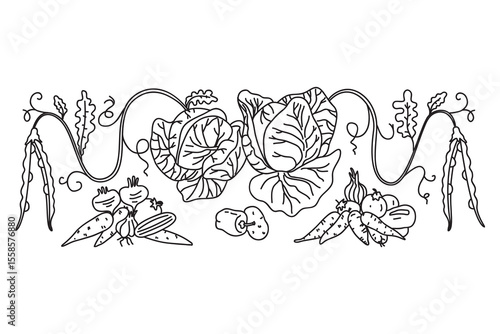 Line art botanical decorative different vegetables horizontal border pattern isolated on white background. Hand drawn outline veggies plants with Roots Stems Leaves vector illustration. Graphic design