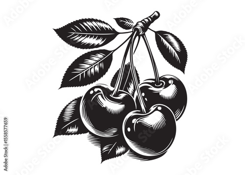 cherries with leaf logo silhouette vector, cherries with leaf logo icon, cherry fruit silhouette vector illustration, two cherries with leaves food and fruit design silhouette logo vector 