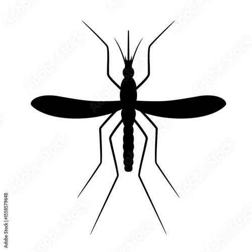 black silhouette of a mosquito