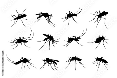 mosquito silhouette set vector premium