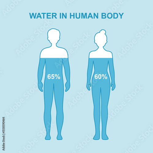 Water body level concept poster. Good metabolism, healthy nutrition and fluid balance in adult female and male silhouette vector illustration