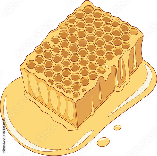 honeycomb and honey