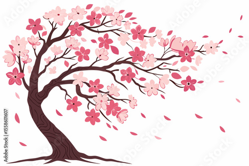 cherry blossom tree