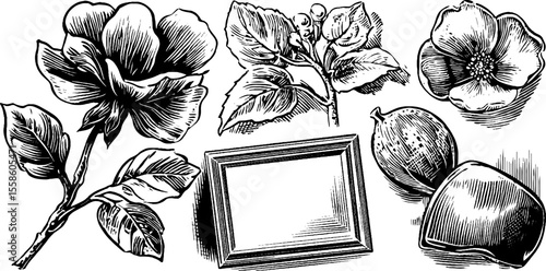 Vintage floral brooches and frames with inset stones for decorative design