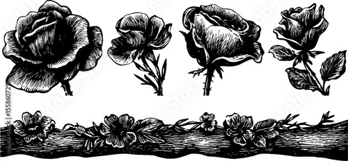 Vintage floral embroidery borders and stitched motifs design for craft projects and decoration