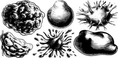 Abstract organic blobs and flowing masses silhouette design for art projects