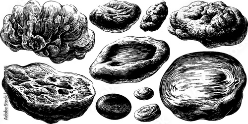 Vintage organic blobs and flowing masses sketch for art and design