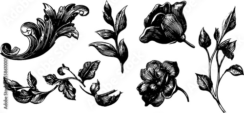 Vintage ornamental wood carvings and decorative floral sketch design for print