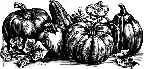 Vintage autumn harvest with pumpkins and gourds for seasonal decoration and design