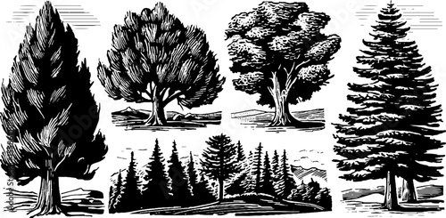 Vintage tree silhouettes and pine outlines for nature design