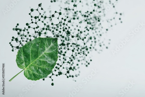 Leaf Becoming Molecular Structure: Nature and Science Connection Concept.