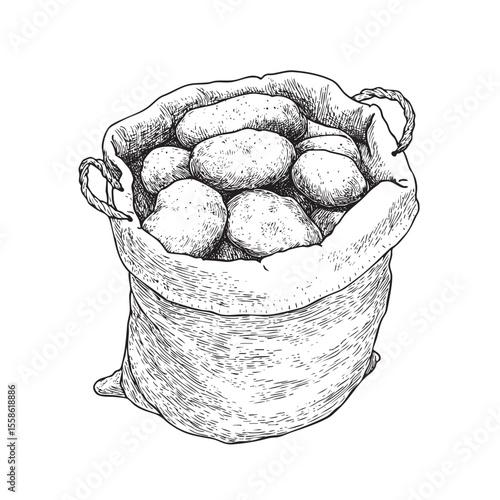 Freshly harvested potatoes in a burlap sack for rustic cooking