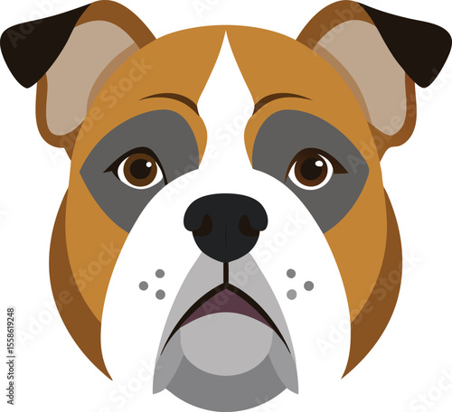 English bulldog face on transparent background